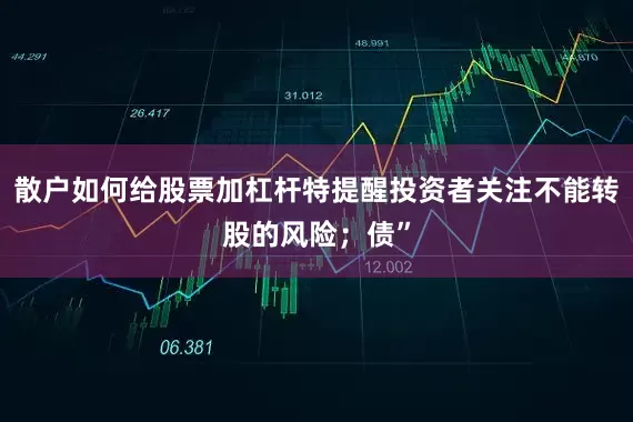 散户如何给股票加杠杆特提醒投资者关注不能转股的风险；债”