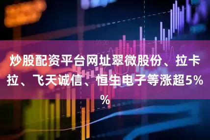 炒股配资平台网址翠微股份、拉卡拉、飞天诚信、恒生电子等涨超5%