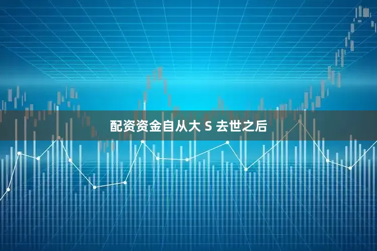 配资资金自从大 S 去世之后