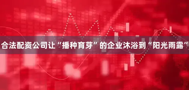 合法配资公司让“播种育芽”的企业沐浴到“阳光雨露”